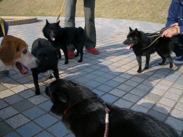 e0002466_2116316.jpg