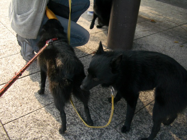 e0002466_2133927.jpg