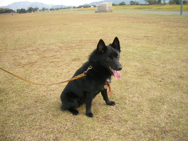 e0002466_2173880.jpg