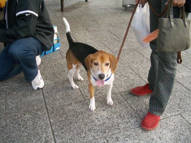 e0002466_2174974.jpg