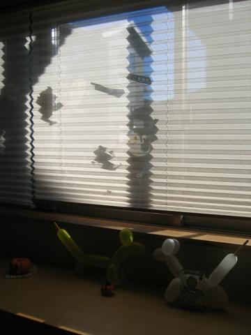 e0031568_11473060.jpg