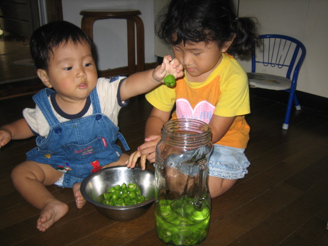 d0007673_5295529.jpg