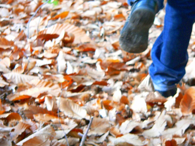 d0008073_7514554.jpg