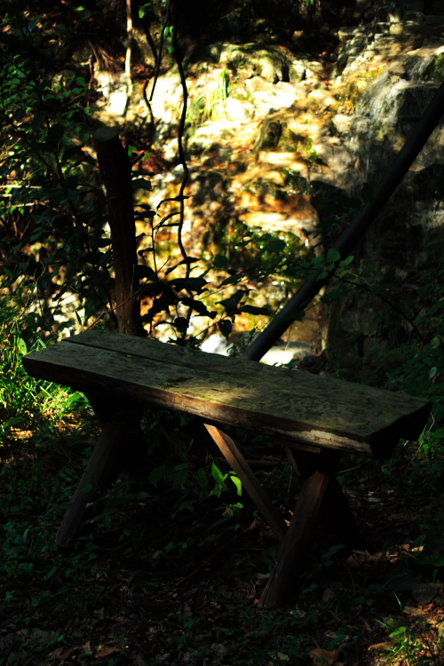 c0030874_659015.jpg