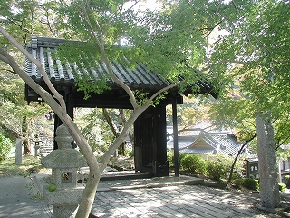 e0002676_1721114.jpg