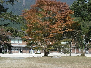 e0002676_1724547.jpg