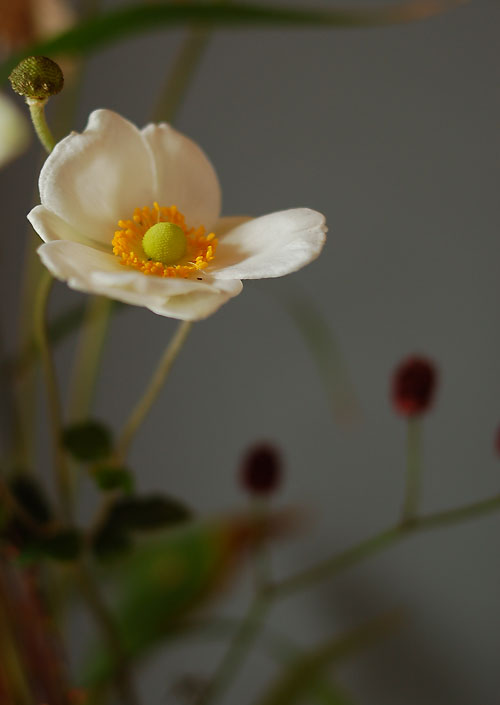 c0009981_4473588.jpg