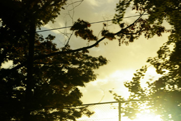d0013887_20211975.jpg