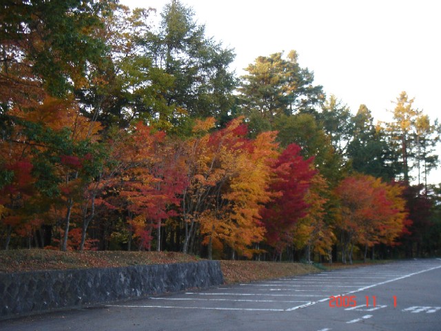 a0005691_21425175.jpg