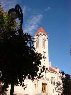 e0020991_457193.jpg