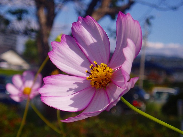 e0029692_0462717.jpg