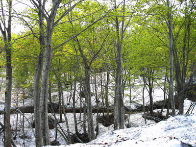 a0043193_19534519.jpg