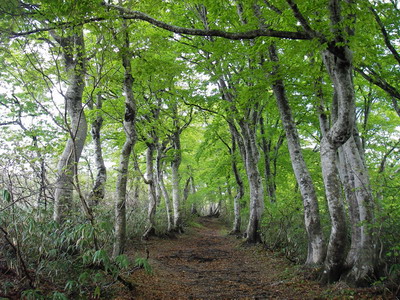 a0043193_20115590.jpg