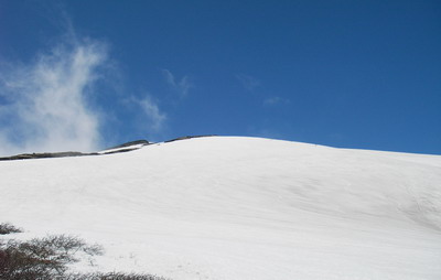 a0043193_2012593.jpg
