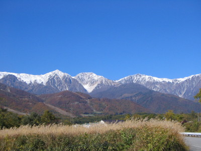 e0049598_15494885.jpg