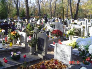 e0039206_18452075.jpg