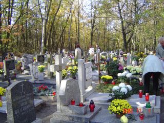 e0039206_1845277.jpg