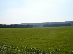e0090714_21485913.jpg