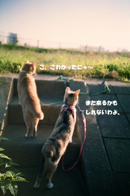 a0034419_12353255.jpg