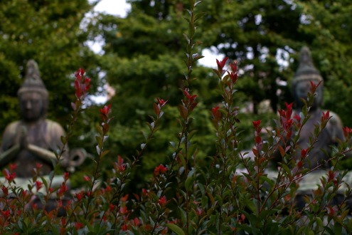 b0053019_22435560.jpg