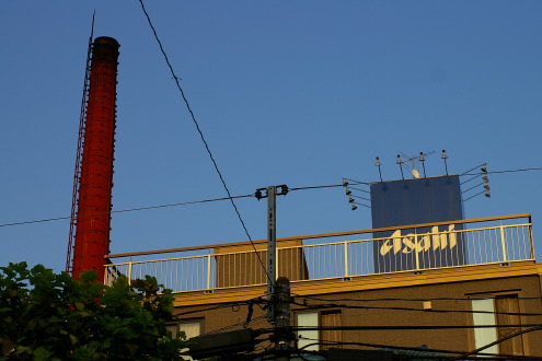 b0053019_235384.jpg
