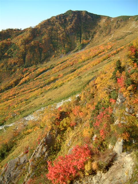e0010134_17582323.jpg