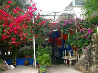 c0008439_10201587.jpg
