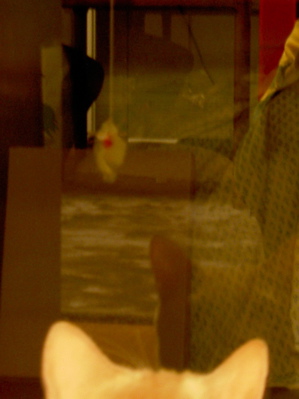 e0058443_204484.jpg