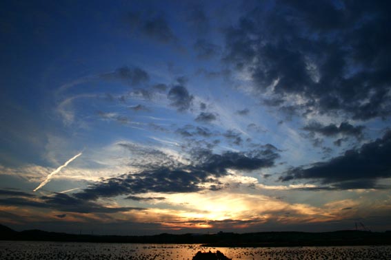 d0029746_230117.jpg
