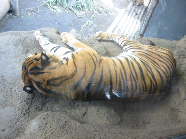 a0023548_21254319.jpg