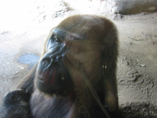 a0023548_212615100.jpg