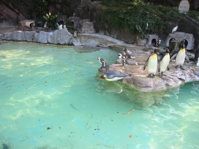 a0023548_2128579.jpg