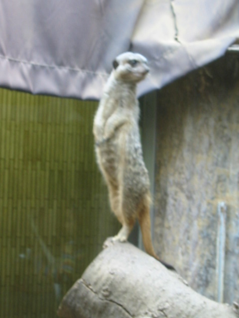 a0023548_21293493.jpg