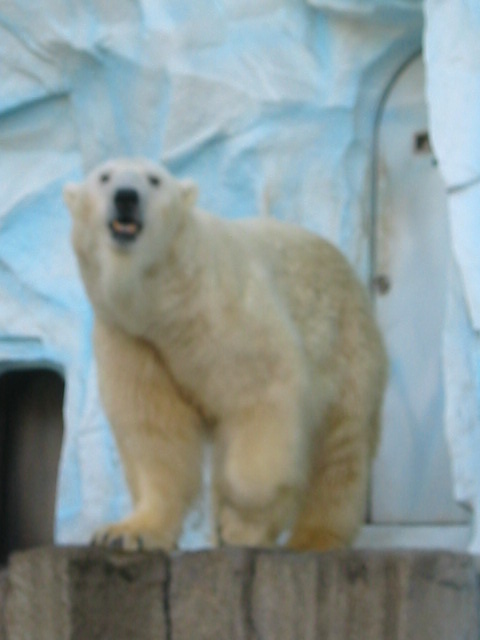 a0023548_2130775.jpg