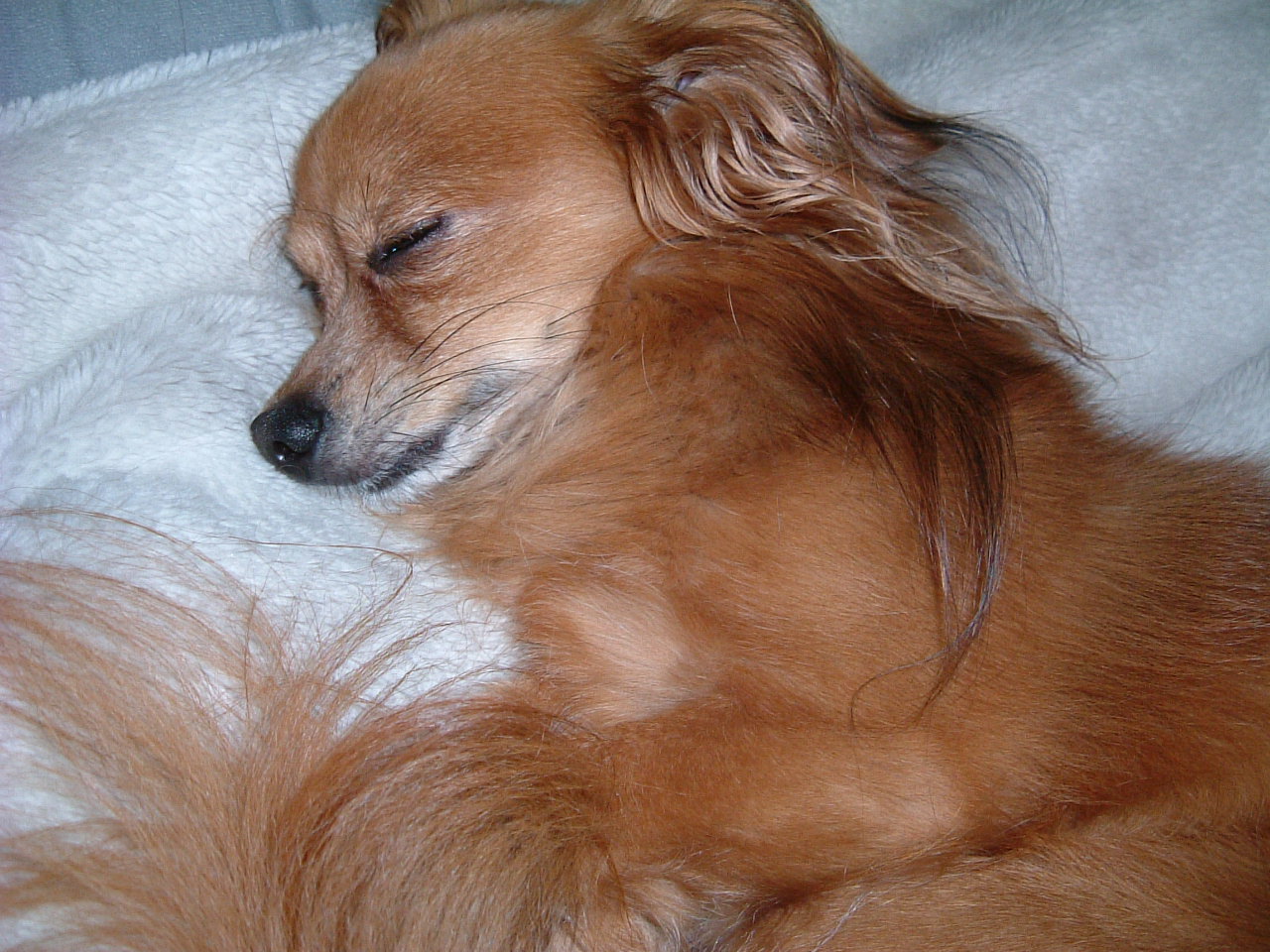 e0023751_215410100.jpg