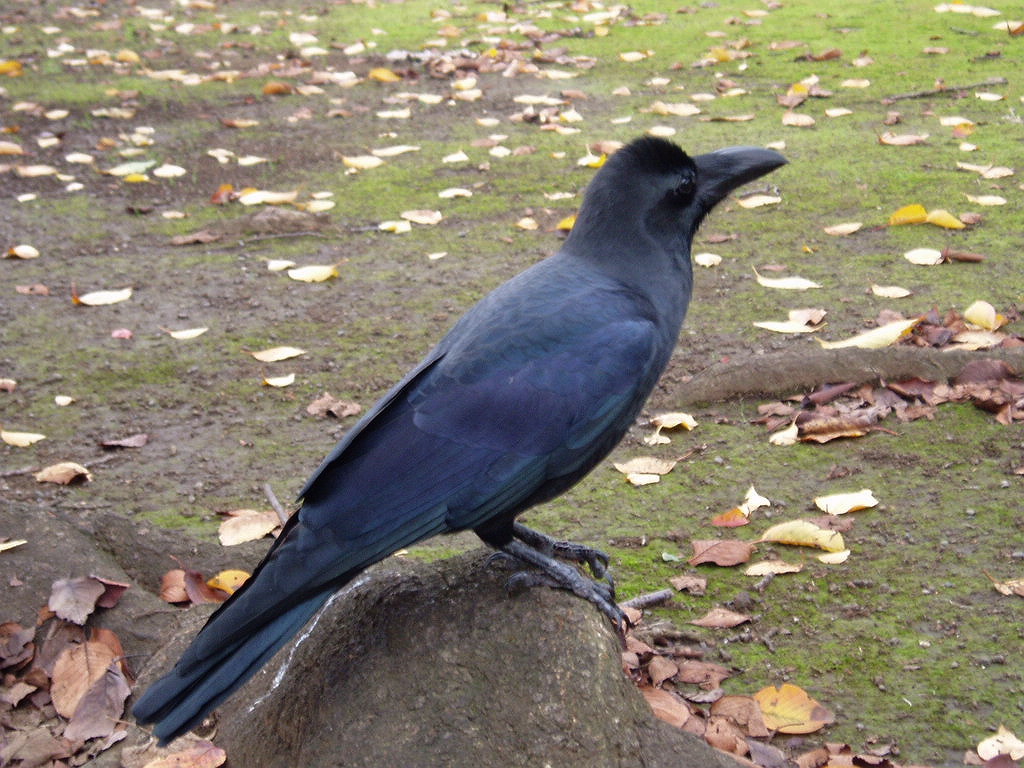 e0064158_1331864.jpg