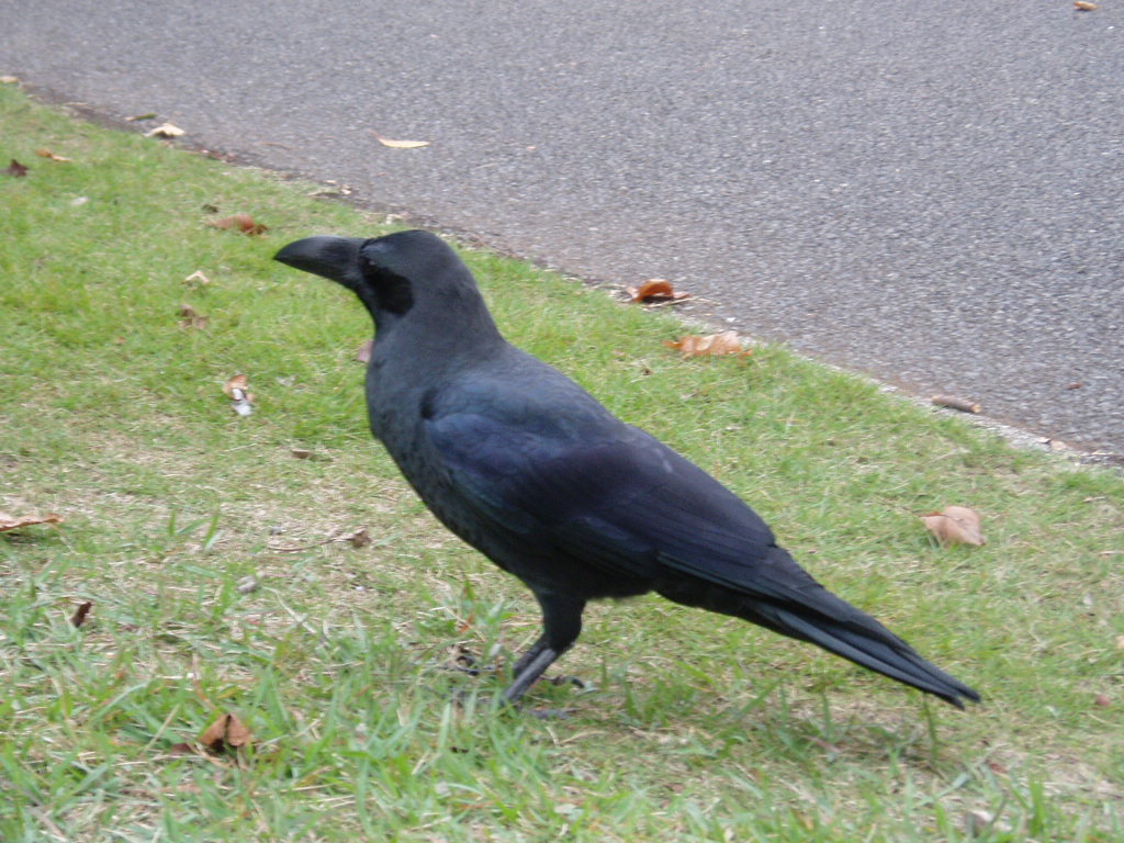 e0064158_1375578.jpg