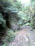 d0068959_13414156.jpg