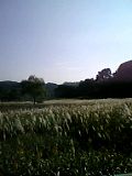 d0068959_14294719.jpg