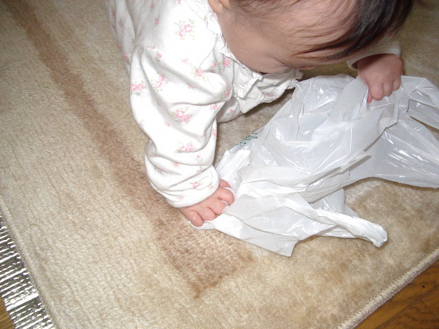 e0089272_21431720.jpg