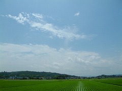 d0063278_1957137.jpg