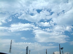 d0063278_19572555.jpg