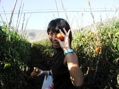 e0023086_6474774.jpg