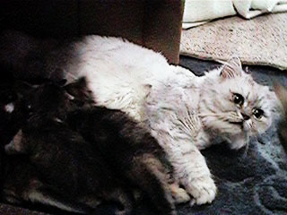 a0045990_141246.jpg