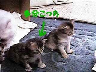a0045990_1421326.jpg