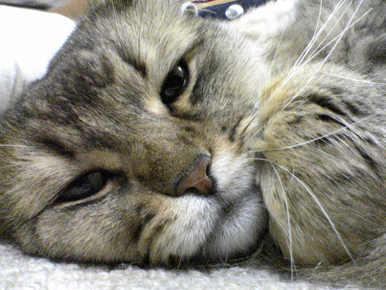 a0045990_854420.jpg