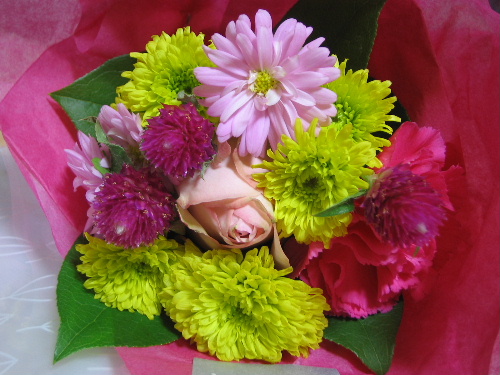 b0046210_22355515.jpg
