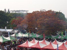 e0083212_2184614.jpg