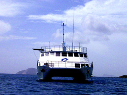 b0044726_311885.jpg