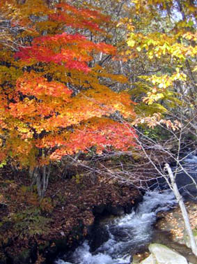 a0020929_2122994.jpg